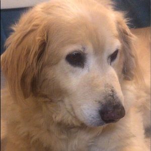 Meet your Posher, Miranda